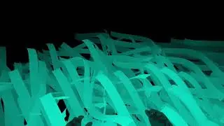 Thomas Poli - Elevation