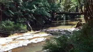 Morwell River Falls Reserve - My Tracks Latrobe