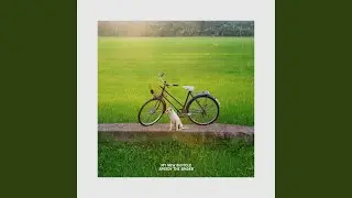 My New Bicycle