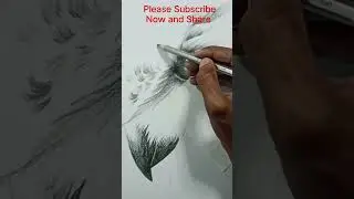 Pratim Art Creation|Owl Pencil Sketch Drawing.
