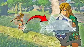 This is what peak shield surfing looks like