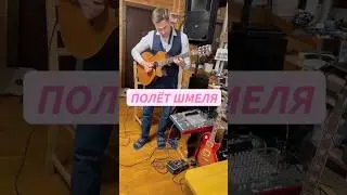 Пол&euml;т шмеля на гитаре  #гитара #guitar #нагитаре #guitarshort #shorts