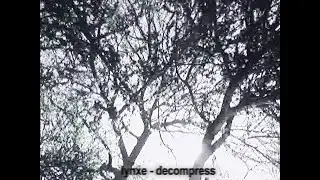 lynxe - decompress (visuals+lyrics)
