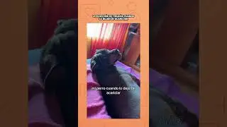 El sonido que hace 😂 #humor #comedia #shorts #argento #viral #argentina #reels #virales