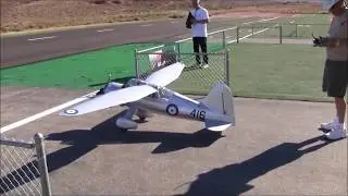 Phoenix Model Westland Lysander (126