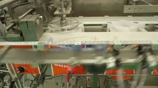 DS 180SZ Shanghai Acepack packing machine company doypack with zipper