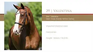 29 Callaho Valentina (2018)