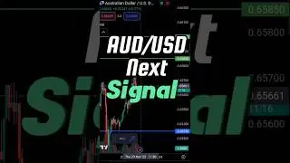 AUDUSD Today's Signal 🚦#audusd #usd #aud #trading #trending #shorts 23/11/23