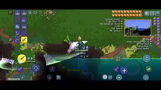 getting Beetle Armor As Fast As I can