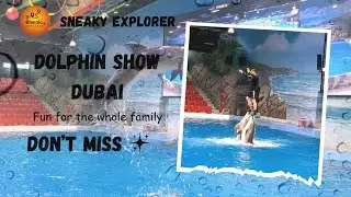 Dubai Dolphinarium Dolphin and Seal Show | Mesmerizing Marine Performances | SNEAKY EXPLORER