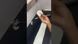 white chocolate sigar new design flowers 🌼 #shorts #youtube