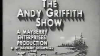 Desilu/Mayberry Enterprises/Viacom (1960/1976)