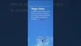 Cap. 41 | Um Minuto com Chico Xavier