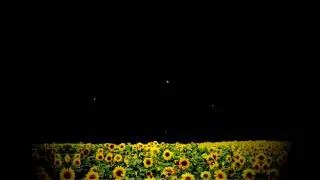Cruyff In The Bedroom - Hikarihimawari (Full Album Shoegaze)(2003)