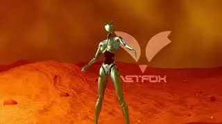 NETFOX - Analog Intelligence