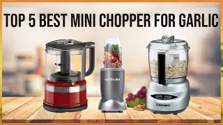 Top 5 Best Mini Chopper | Best Mini Chopper For Garlic In 2021