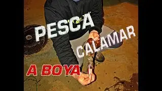 APAREJO PESCA DEL CALAMAR O SEPIA A BOYA 5/5