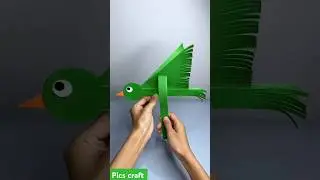 Flaing parrot craft #shorts #parrot #picscraft
