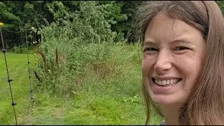 Picking Tomatoes and Weeds in the Garden