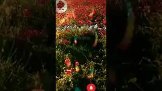 Ramzan Ka Dusra Jumma Mubarak Ho..Afifa Voice.#shorts #viral  #trend  #ramzan  #islamic  #afifavoice