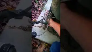 Maintenance neglected on Trane AC units
