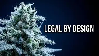 Объяснение принципа действия THCA-цветов: как они остаются легальными на федеральном уровне.
