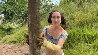 Tree salve, designer garments and disobedient dog!