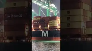 A Sea Monster at Work! MSC Agamemnon VIII Container Ship Port Loading and Unloading Procedure