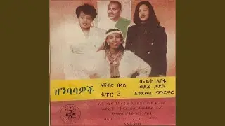 Yewollo Shega