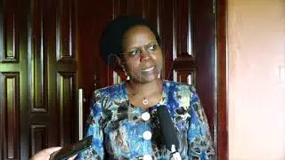 Gov&rsquo;t urged to strengthen rural household incomes