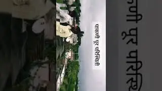 Pakni