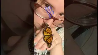 Monarch Butterfly 🦋 Release, My Daughter Found 1 Egg 🥰 #nature #monarch #butterfly #life #happy