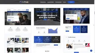 BiziPress - Finance Insurance Consulting Business WordPress Theme