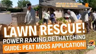 Yellow Lawn? Fix It Fast! Full Recovery Step-by-Step Guide
