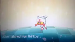 Live Shiny Litten after only 56 eggs in Pok&eacute;mon Moon!