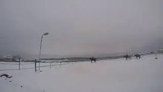 Без седла / No saddle (04 dec 2016)