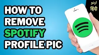 Remove Profile Picture on Spotify