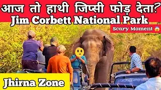 आज तो हाथी जिप्सी फोड़ देता?| Jim Corbett National Park | Scary Moment | Jhirna Zone #jimcorbett