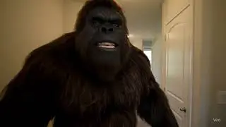 SERVPRO Team Reilly Bigfoot: Code Swamp