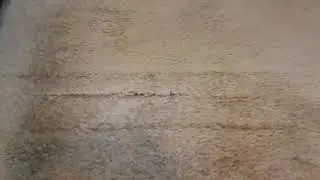 Repairing 18 year old carpet. Carpet seams falling apart.