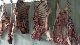 Food Safety Guidelines for the Sale and Purchase of Meats during the Festive Season