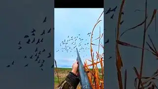 As in the video 