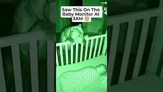 Panicked at 3 AM then realized Titan was protecting her #dogsofshorts #guarddog #babymonitor