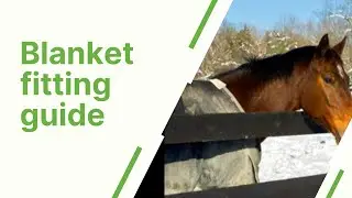 How to make sure your horse blankets fit well.