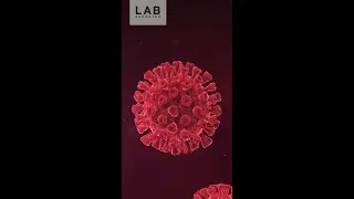 Scientists Discover Breakthrough Method to Activate & Kill HIV 🧬🔥