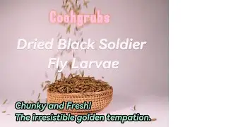 Professional Dried Black Soldier Fly Larvae Production Plant