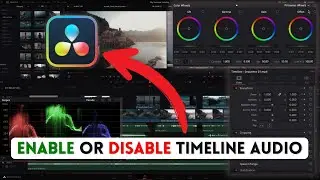 How to Enable or Disable Timeline Audio in DaVinci Resolve 2025?