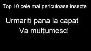 Top 10 cele mai periculoase insecte la care nu te așteptai
