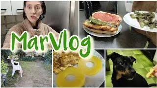 No se hacer las cosas sentada 😜 + Pepito de Ternera 👩‍🍳 + Un zorro y un elefante 
