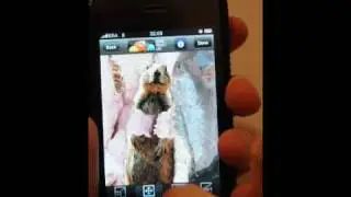 Crasher Squirrel iPhone App